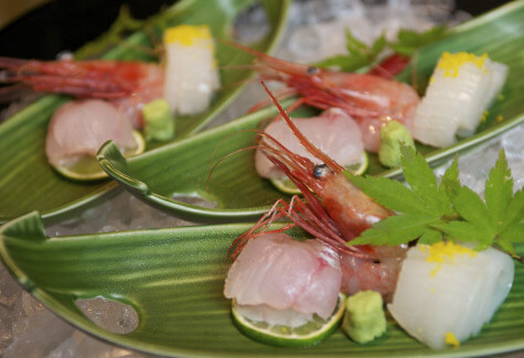 日本海の荒波が育てた最高の食材